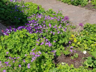 Foto 79 Uffelterkerkweg 3 – Havelte – Foto 79