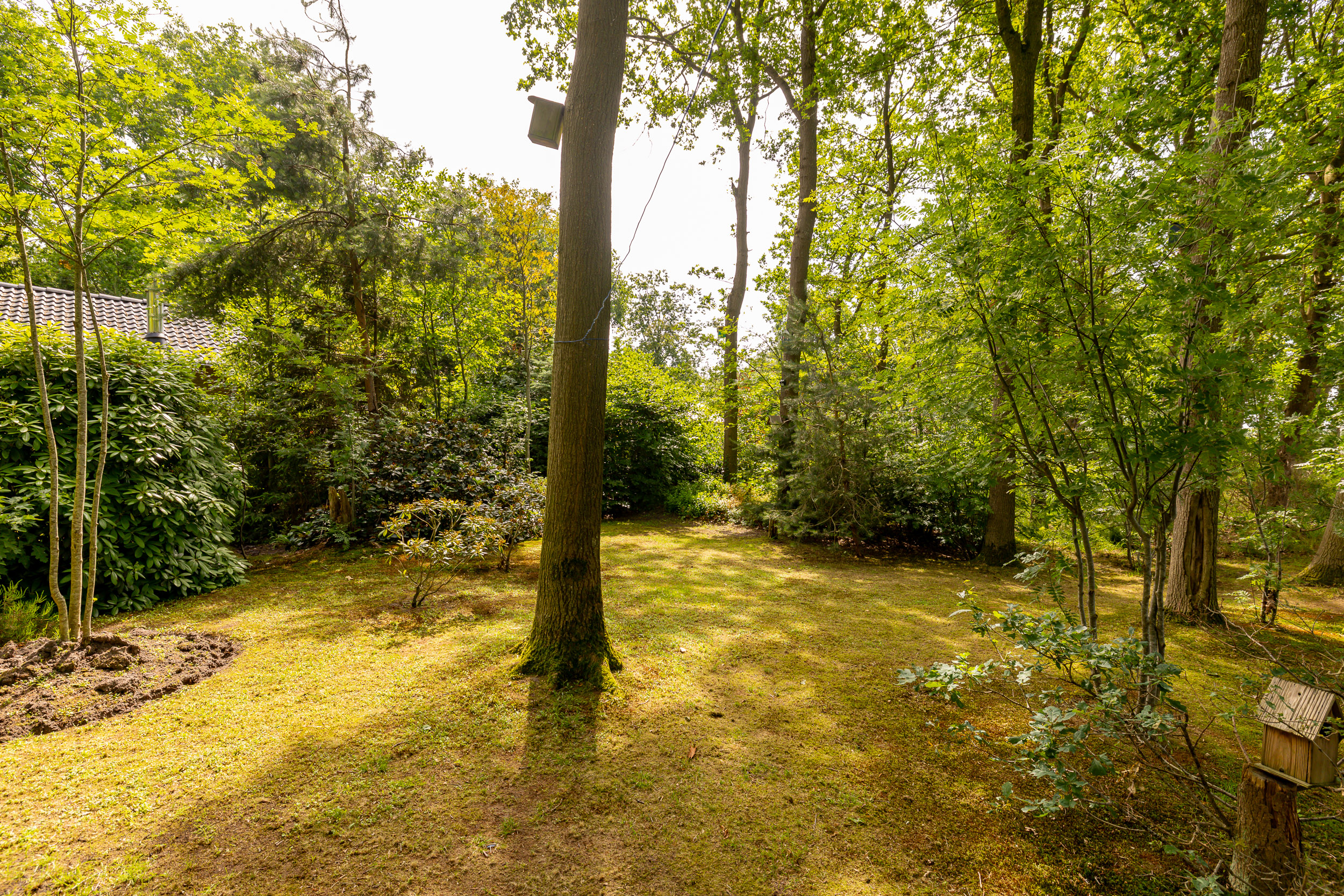 Foto 38 Oshaarseweg 24-79 – Echten – Foto 37