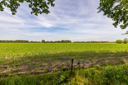 Foto 41 Oshaarseweg 24-79 – Echten – Foto 40
