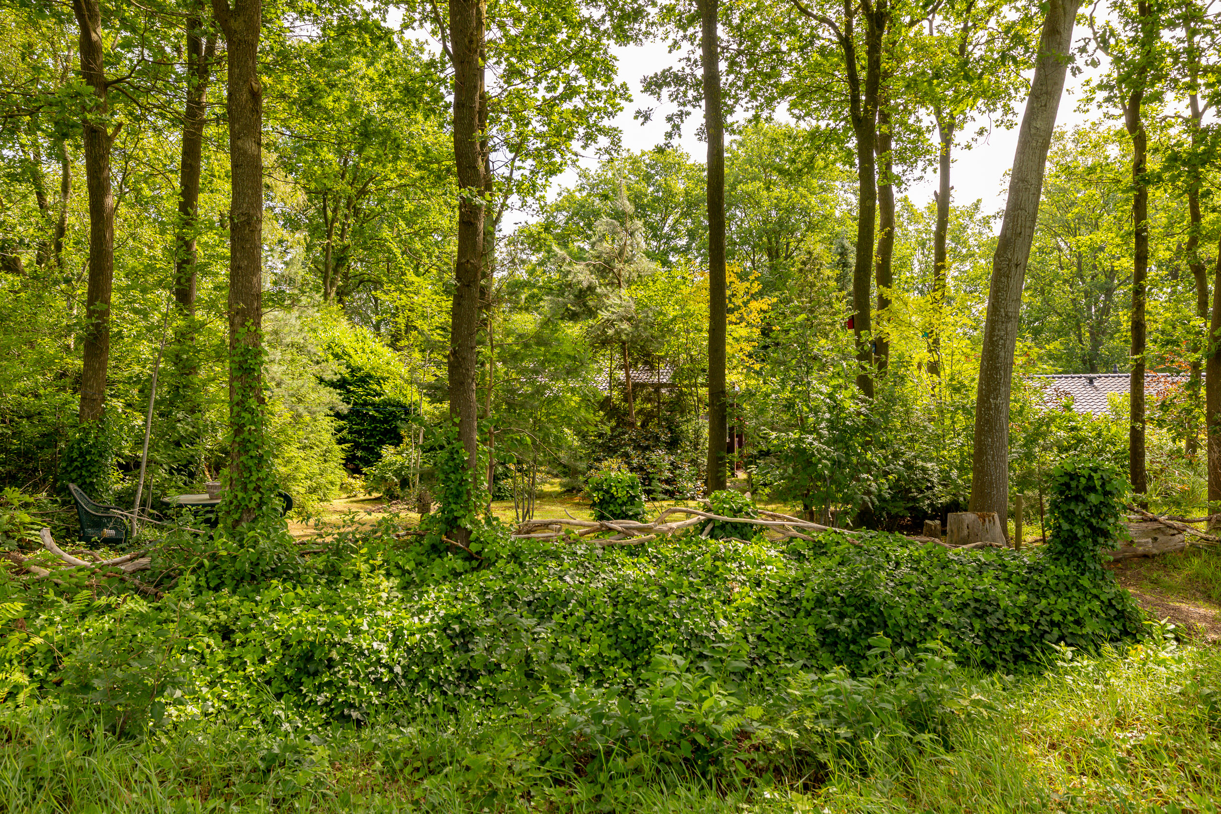 Foto 42 Oshaarseweg 24-79 – Echten – Foto 41