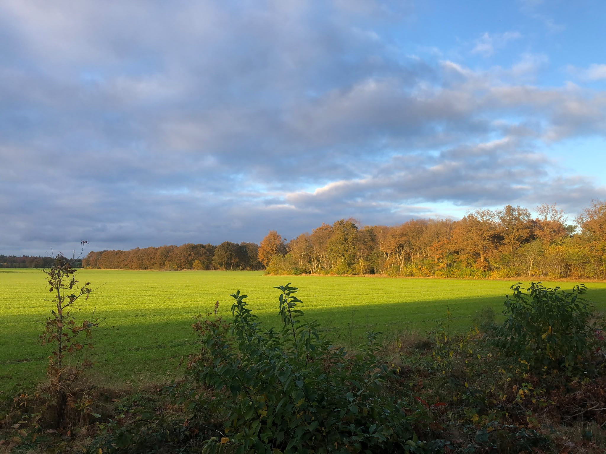 Foto 36 Oshaarseweg 24-99 – Echten – Foto 37
