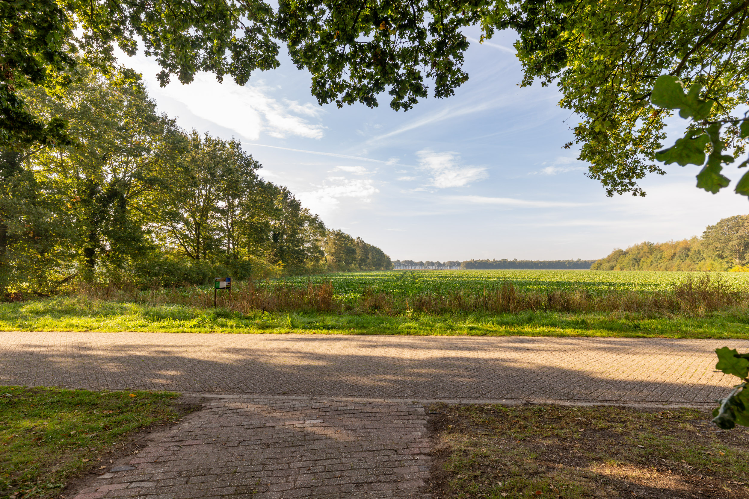 Foto 43 Tilweg 36a – Gees – Foto 41