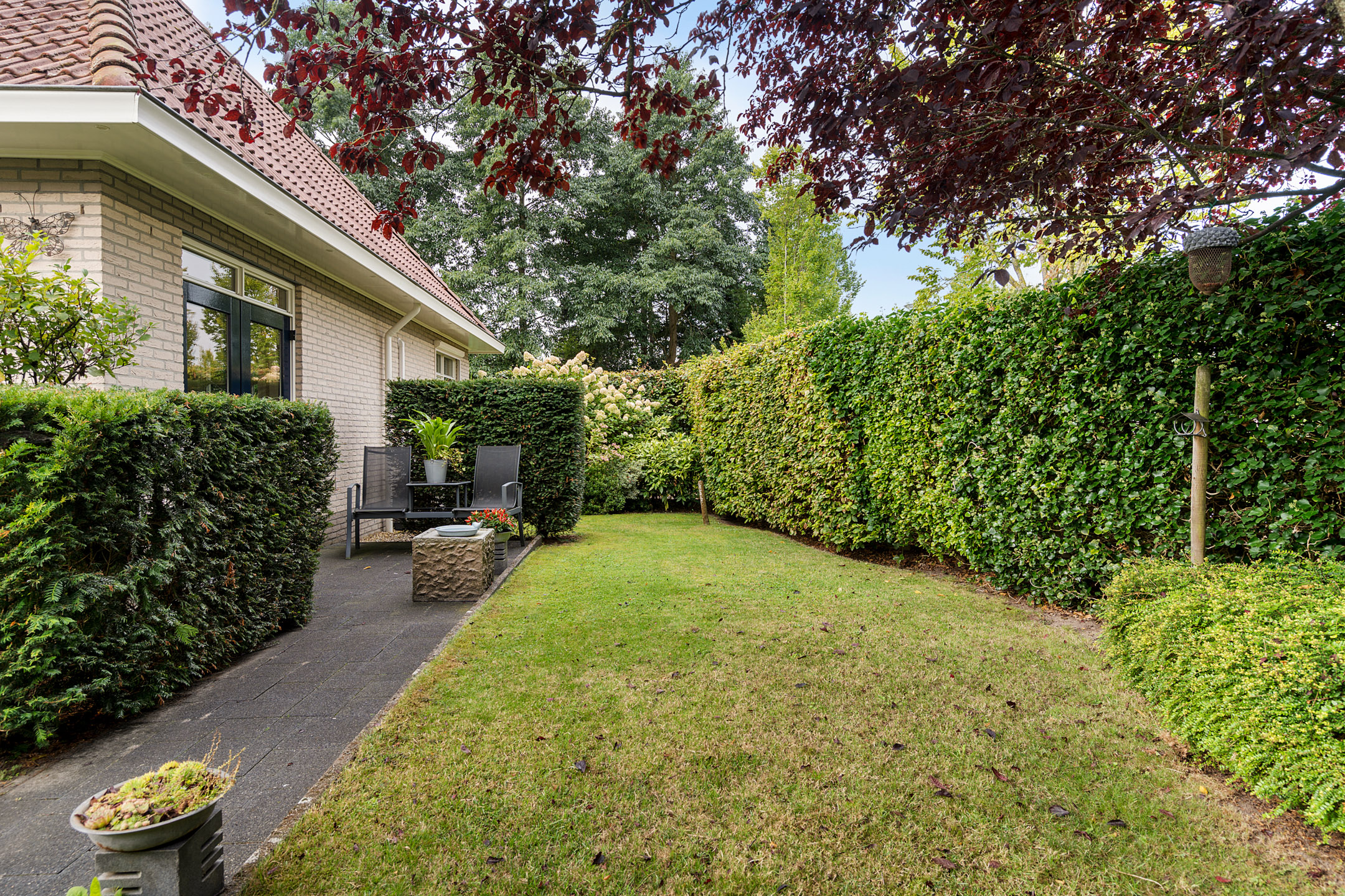 Foto 42 Luzernevlinder 147 – Meppel – Foto 40