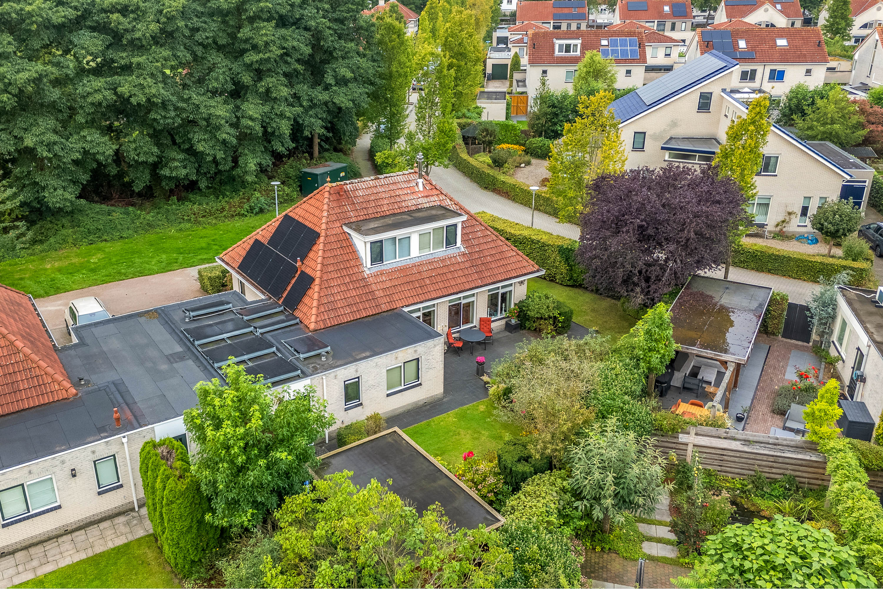 Foto 49 Luzernevlinder 147 – Meppel – Foto 47