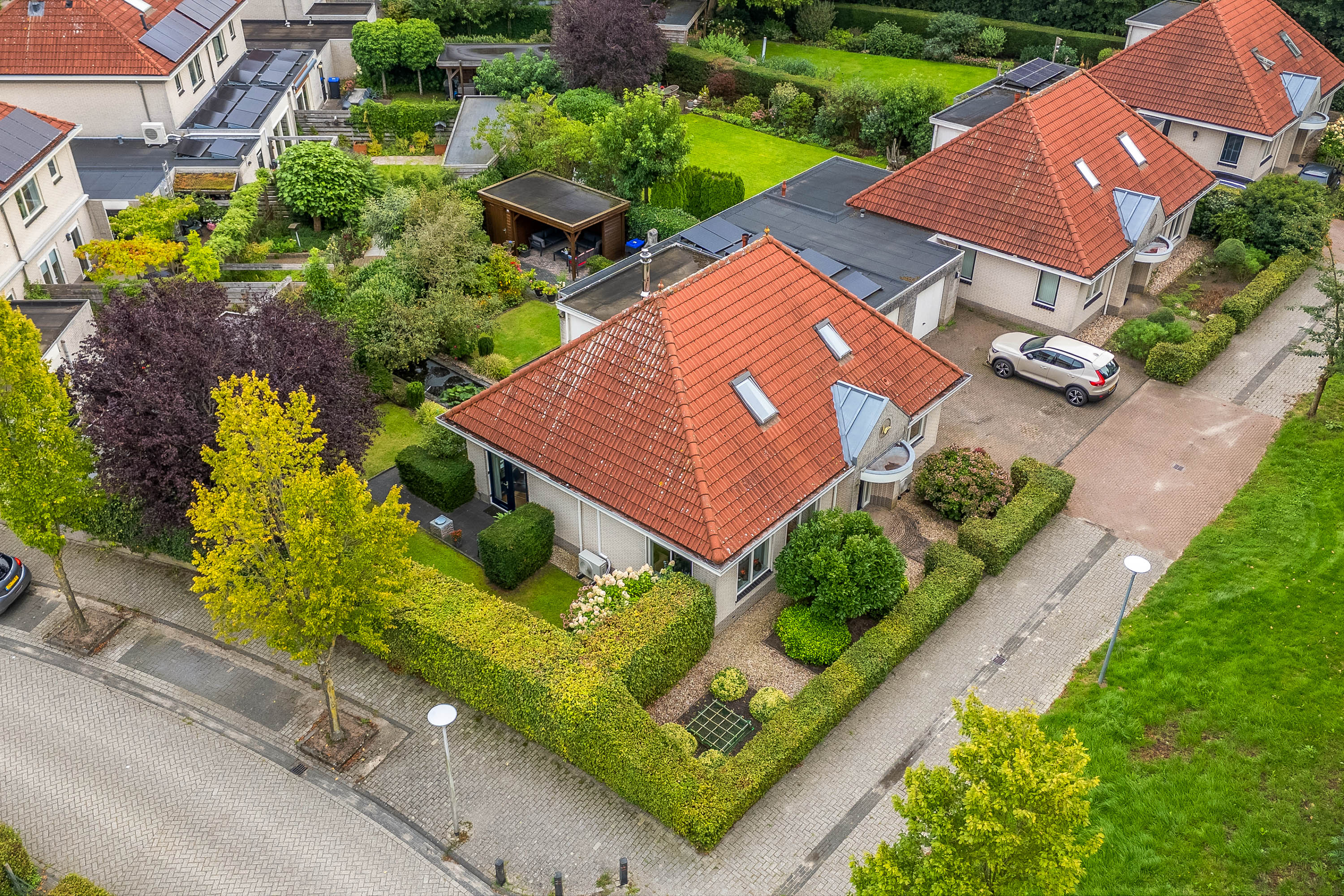 Foto 50 Luzernevlinder 147 – Meppel – Foto 52