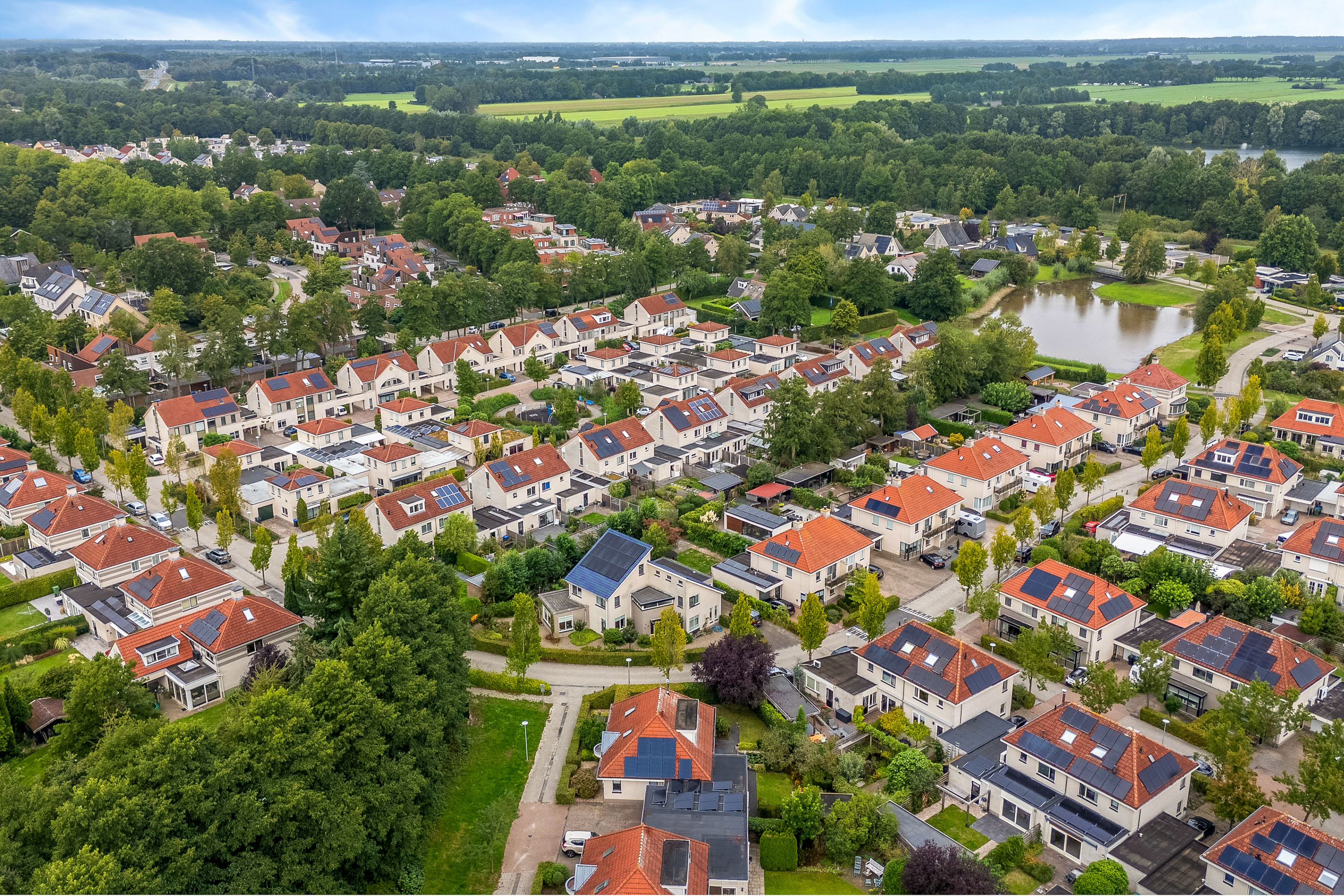 Foto 60 Luzernevlinder 147 – Meppel – Foto 59