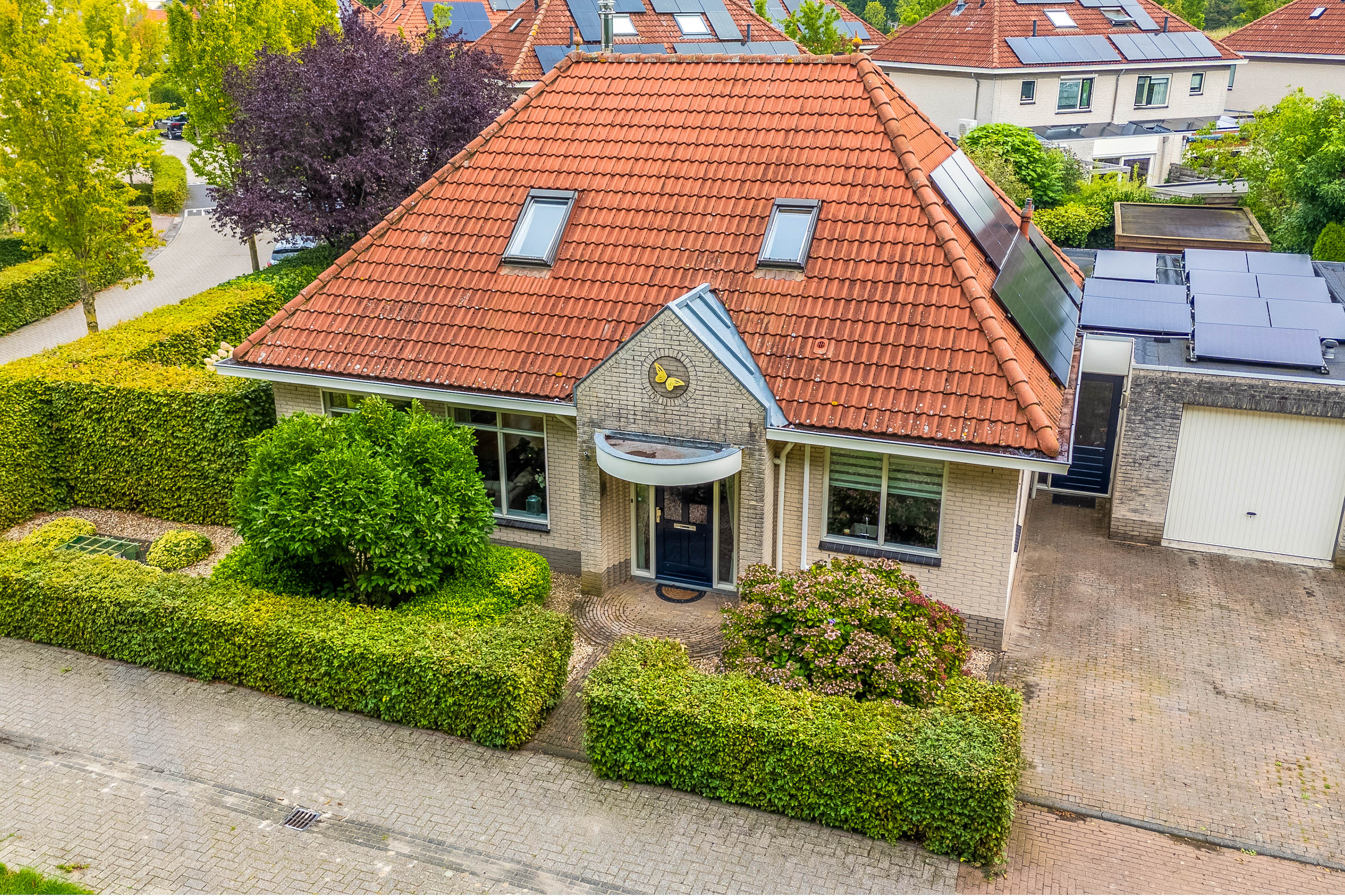 Foto 52 Luzernevlinder 147 – Meppel – Foto 51