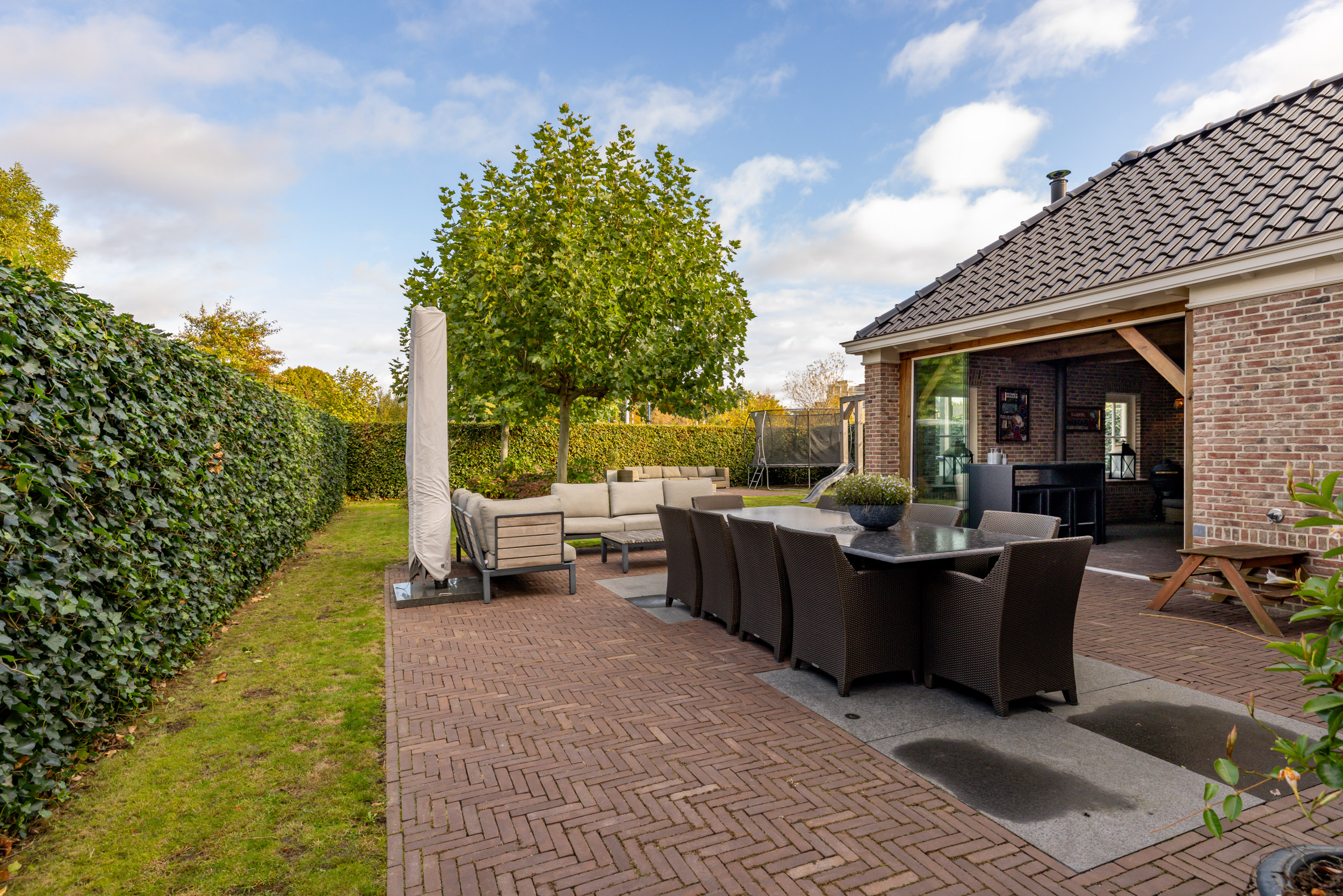 Foto 60 Edelhert 4 – Hoogeveen – Foto 60