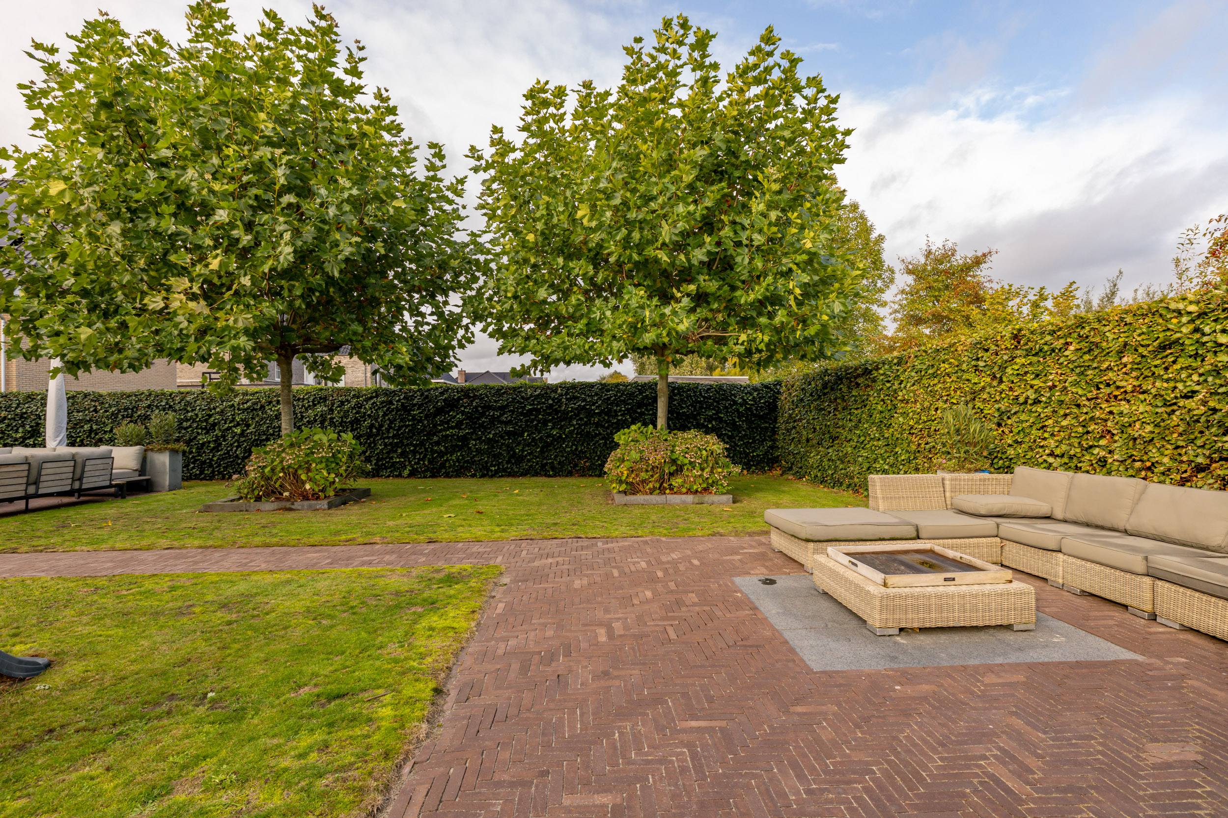 Foto 66 Edelhert 4 – Hoogeveen – Foto 65