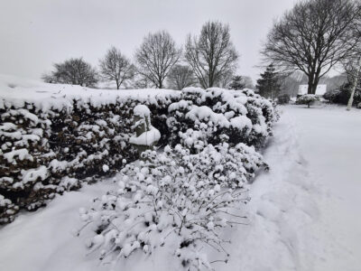 Foto 81 Middelveenseweg 12 – Zuidwolde – Foto 80